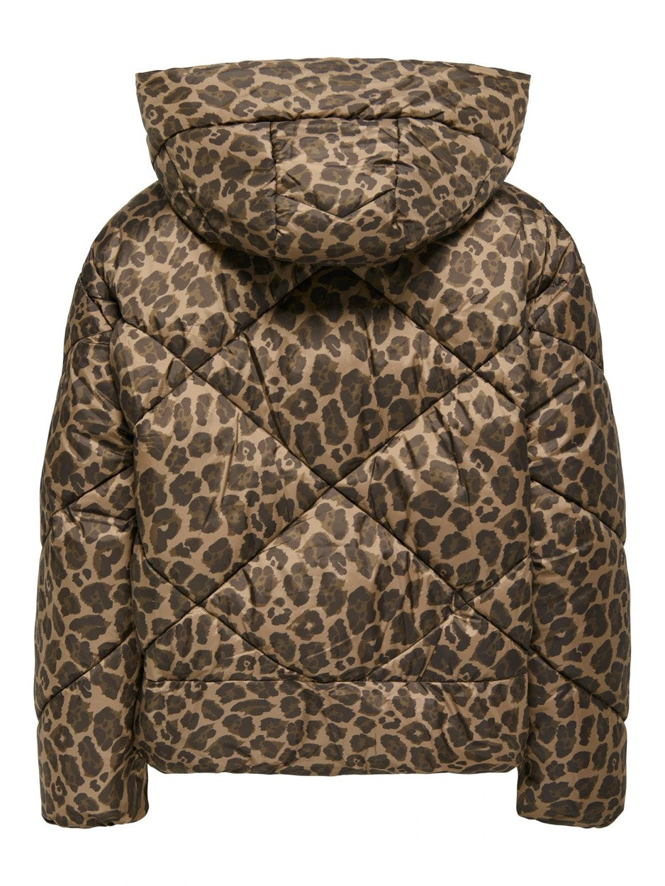 Onlasti Life Short Puffer Jacket Cc Otw - Bruin Dessin