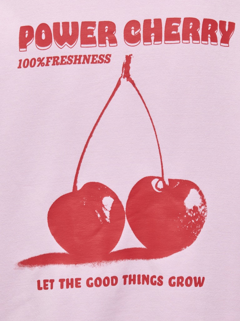 Jdynanna Life L/s Text Sweat Jrs Dia - Roze