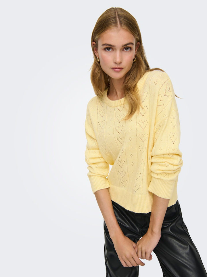 Onlisa Life Ls Struct Boxy Oneck Cc Knt - Geel