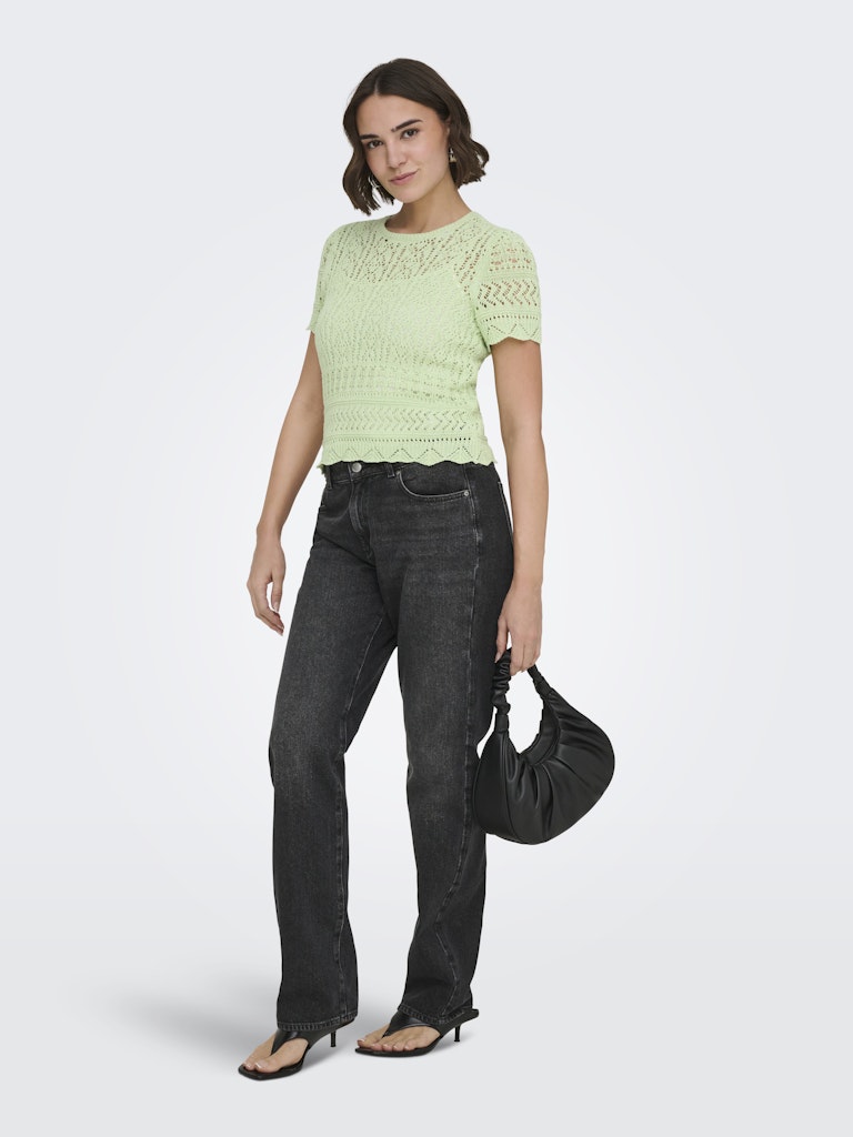 Onlelke Life Ss Structure O-neck Knt Nca - Mint