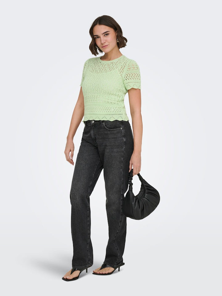 Onlelke Life Ss Structure O-neck Knt Nca - Mint