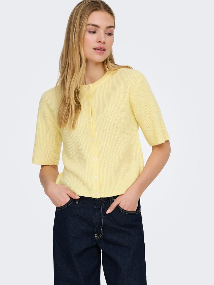 15375964 Catty - Geel