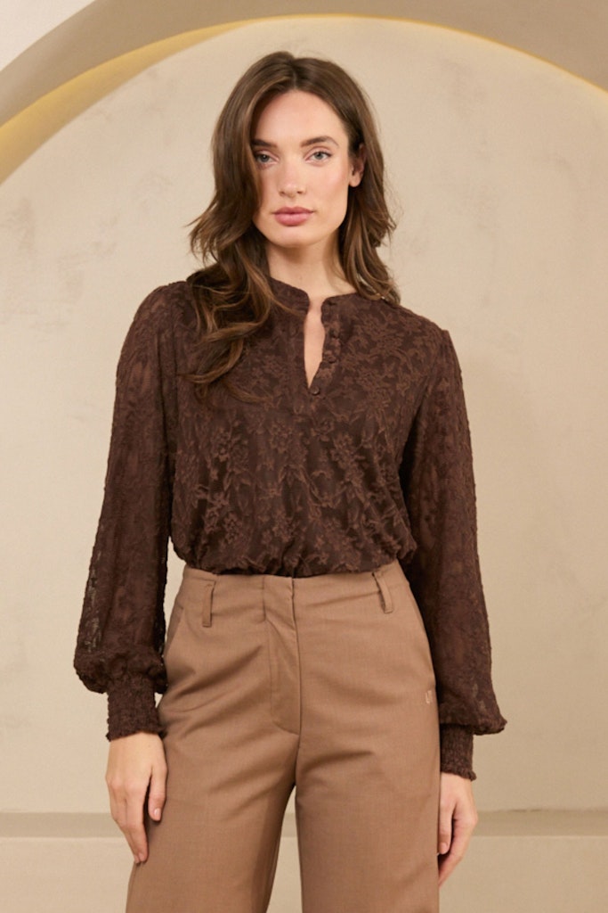 Top Hind - Bruin