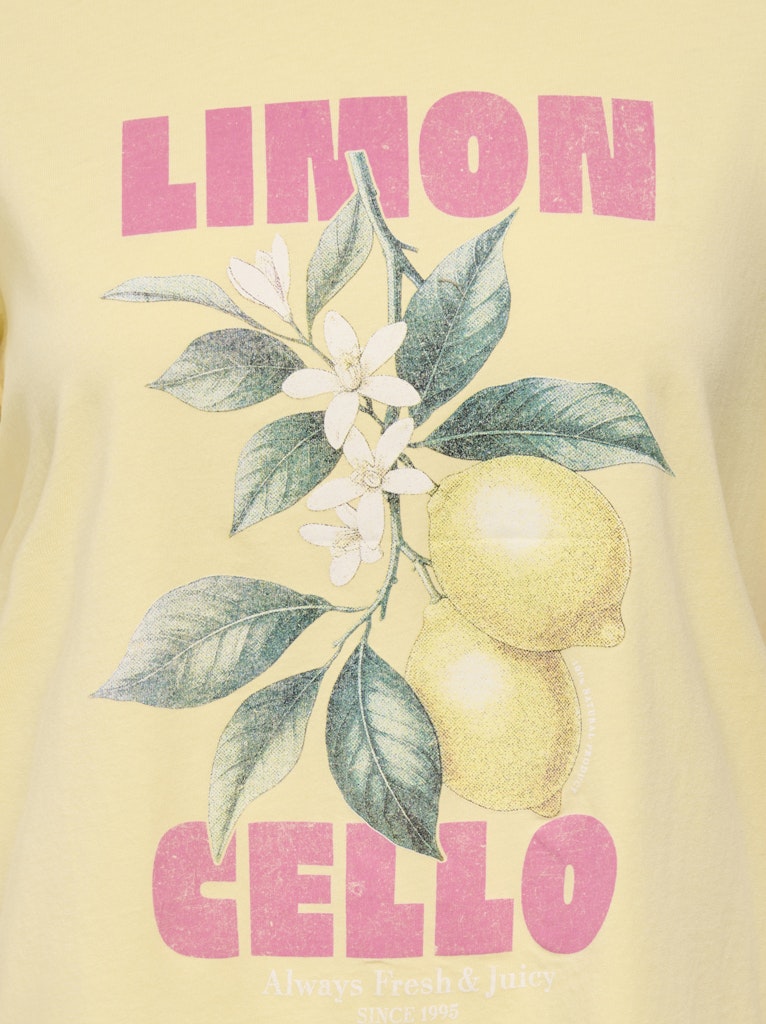 Onllucy Monja Ss Top Jrs Noos - Geel