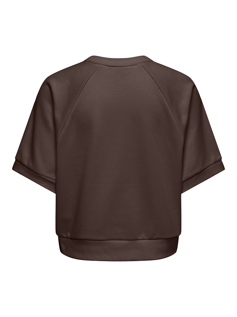 Onldaze S/s Raglan Ub Swt - Bruin Dessin