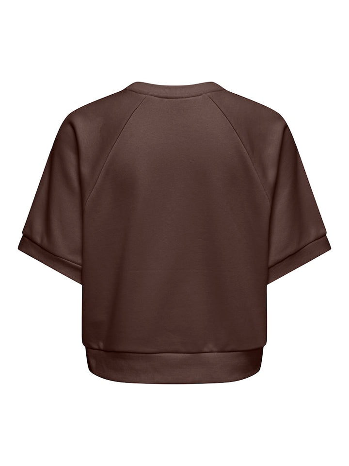 Onldaze S/s Raglan Ub Swt - Bruin Dessin